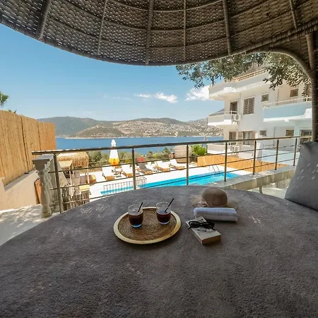 Kalkan Ayapa *